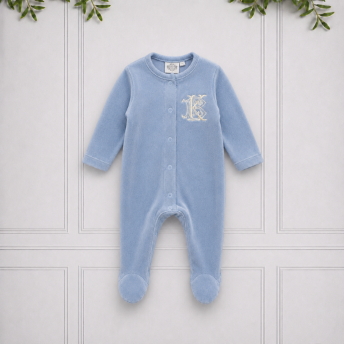 Robin Onesie - Blue